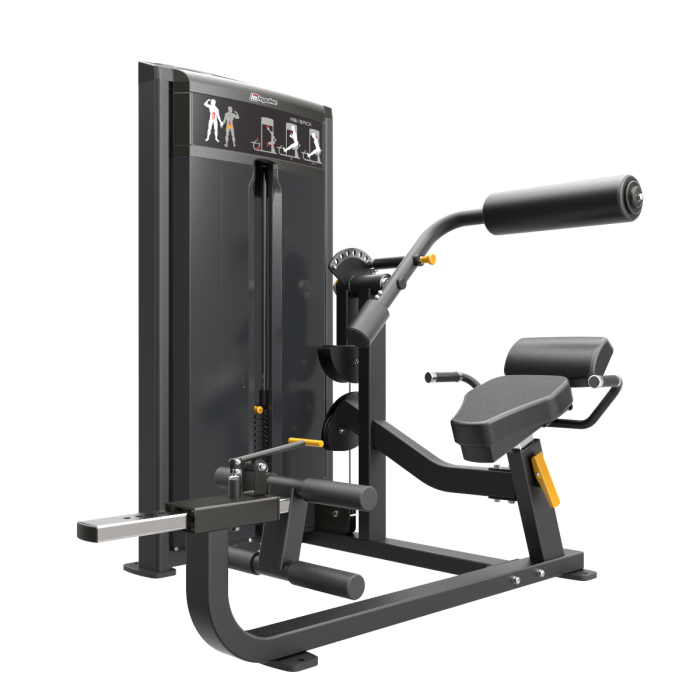 Impulse IF93 Dual Abdominal and Back Extension Machine