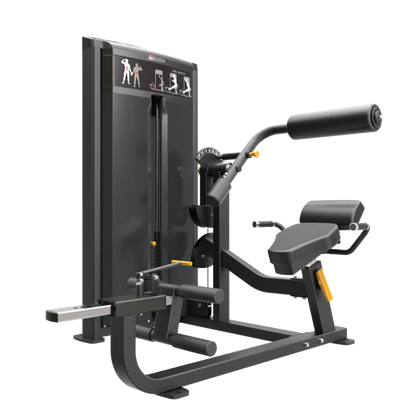 Impulse IF93 Dual Abdominal and Back Extension Machine