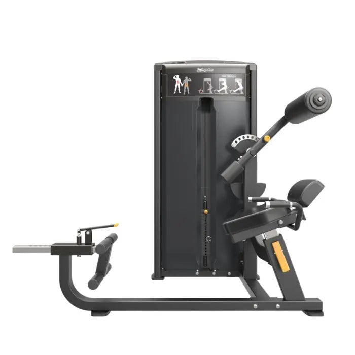 Impulse IF93 Dual Abdominal and Back Extension Machine